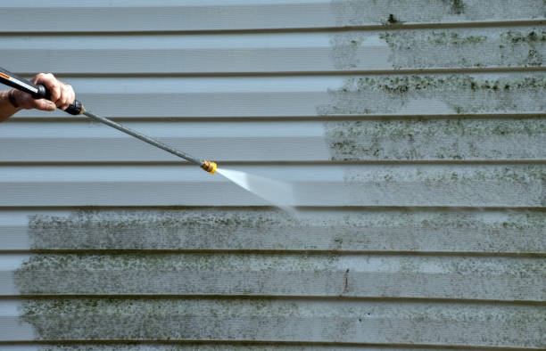 Best Office Mold Removal Services  in Clay City, KY