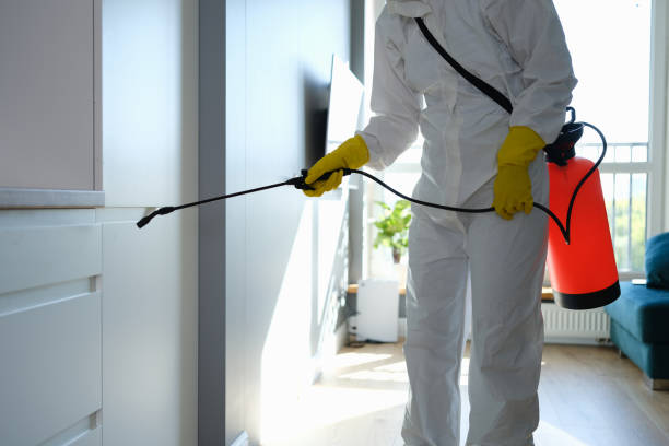 Best Commercial Mold Removal  in Clay City, KY